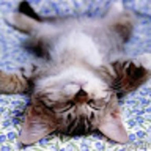 Meet your Posher, Ellie